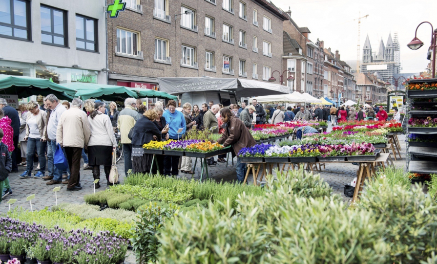 Le marché aux fleurs de Tournai 3