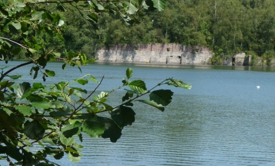 Ecopark lac 1
