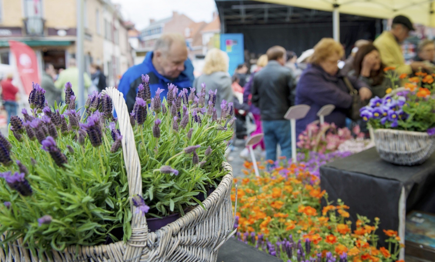 Le marché aux fleurs de Tournai 5