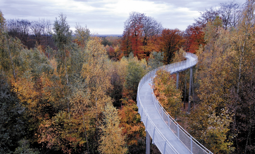 L’Escale forestière - Bon-Secours