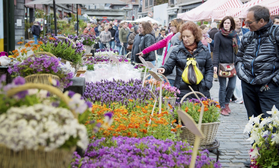 Le marché aux fleurs de Tournai 6
