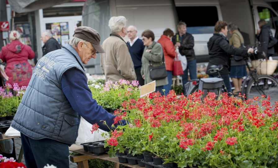 Le marché aux fleurs de Tournai 1