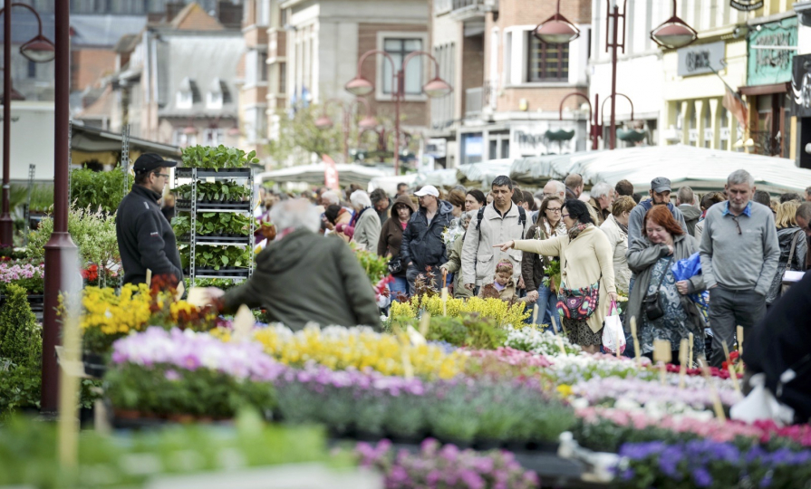 Le marché aux fleurs de Tournai 4